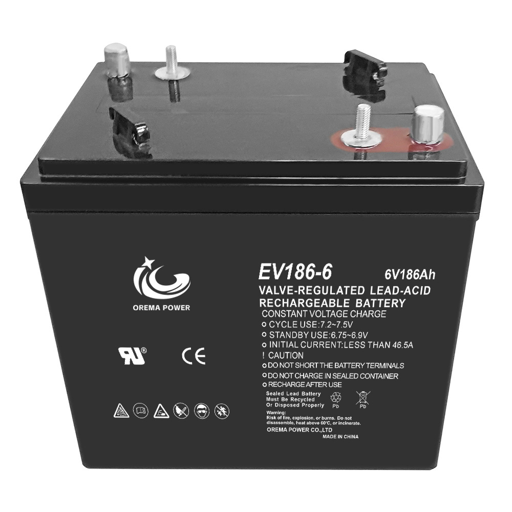 Electric Vehicle AGM Battery